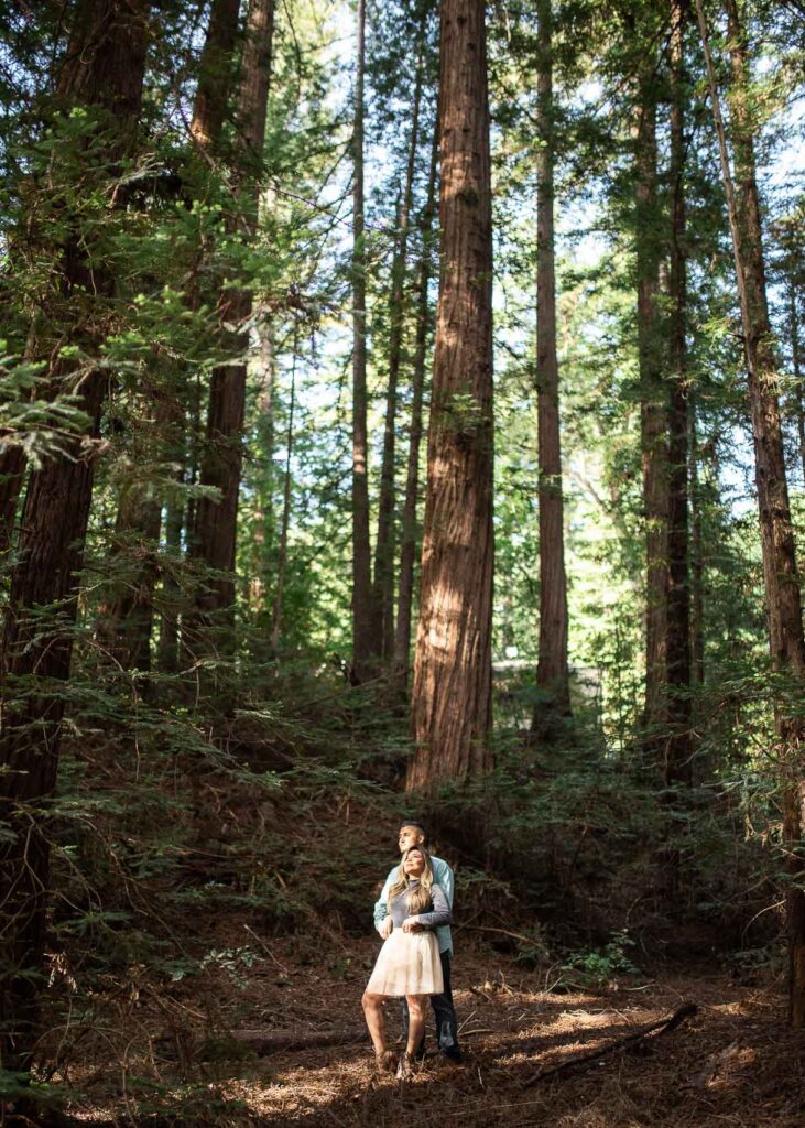 engagement redwood national park