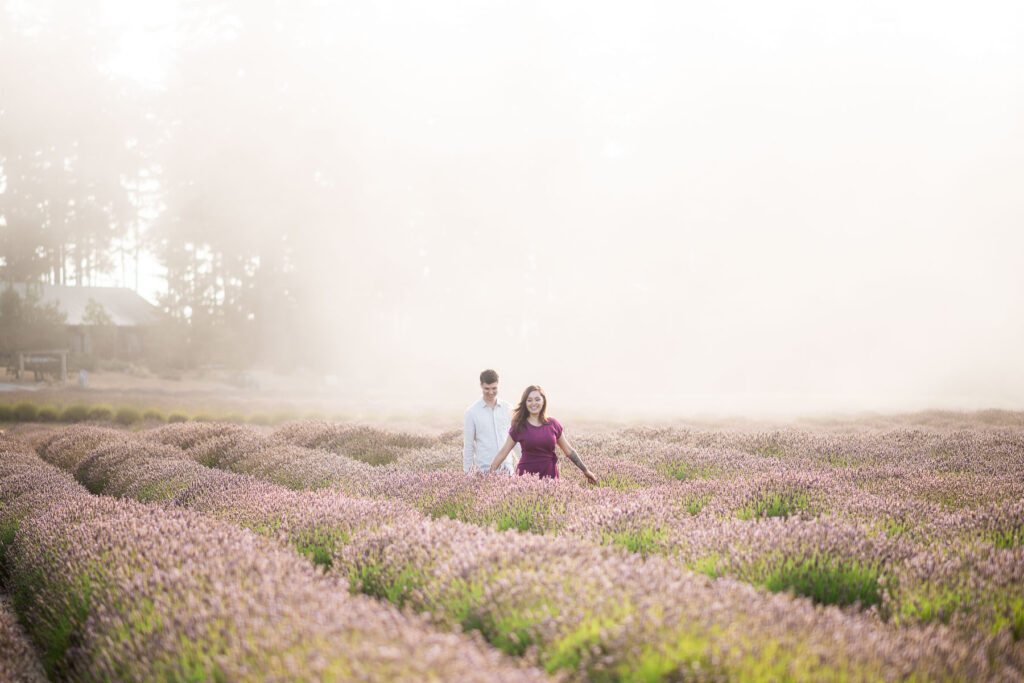 washington lavender farm engagement session